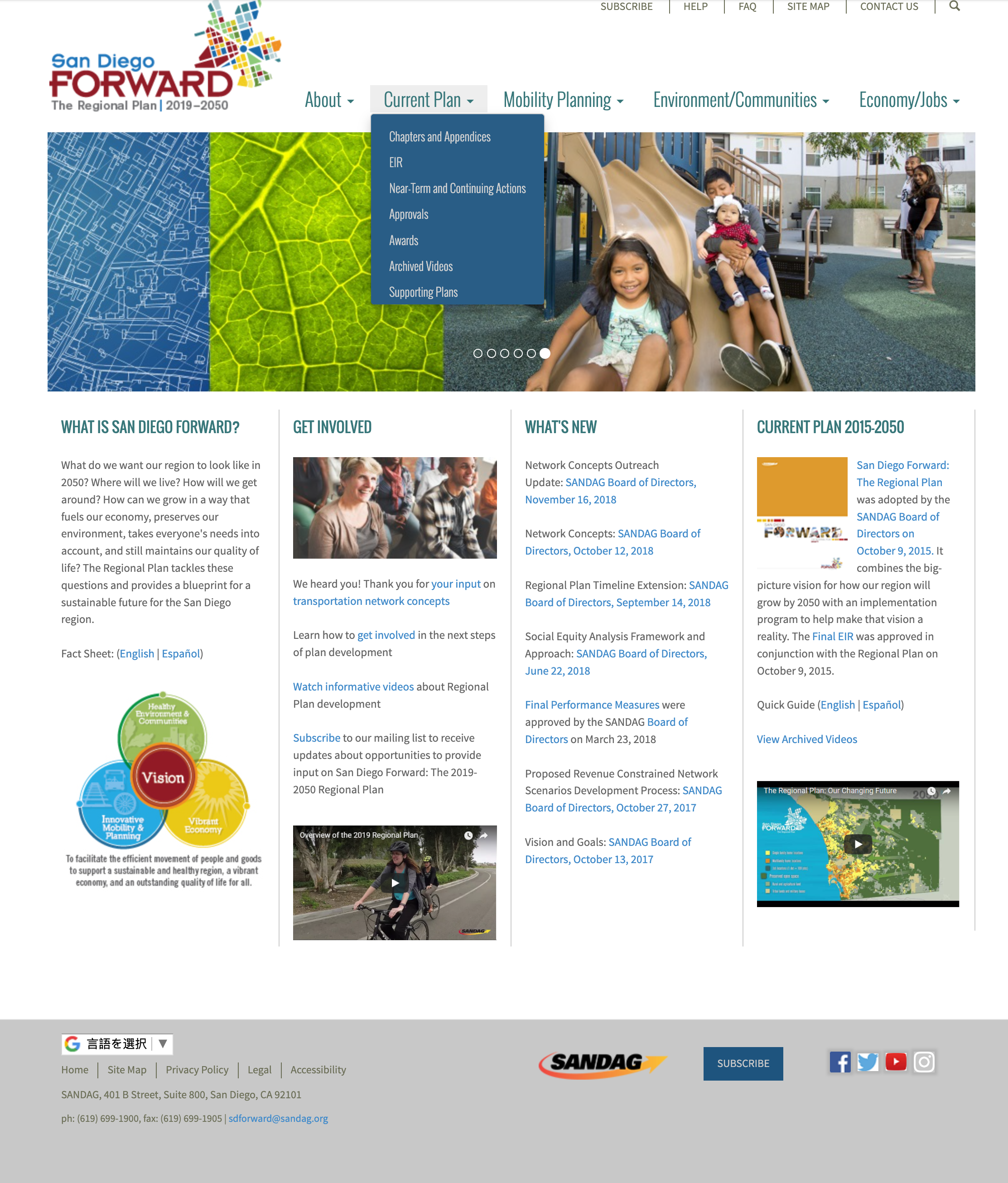 An illustrative sketch of a flower